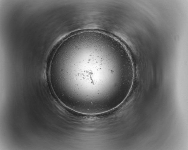 X0000093431452200710261009