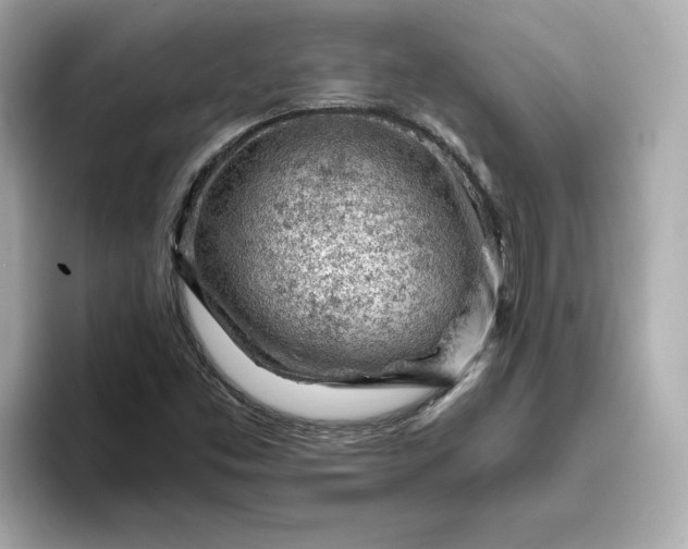 X0000093431453200710261009