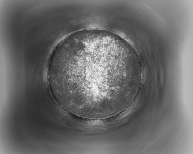 X0000093431454200710261009