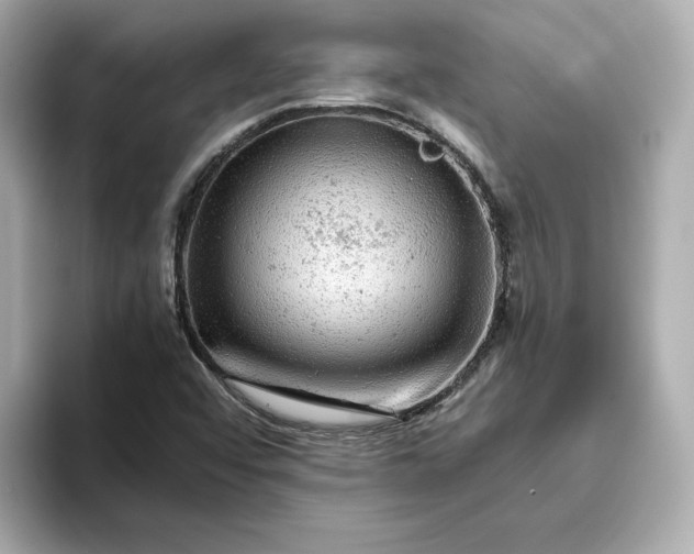 X0000093431456200710261009