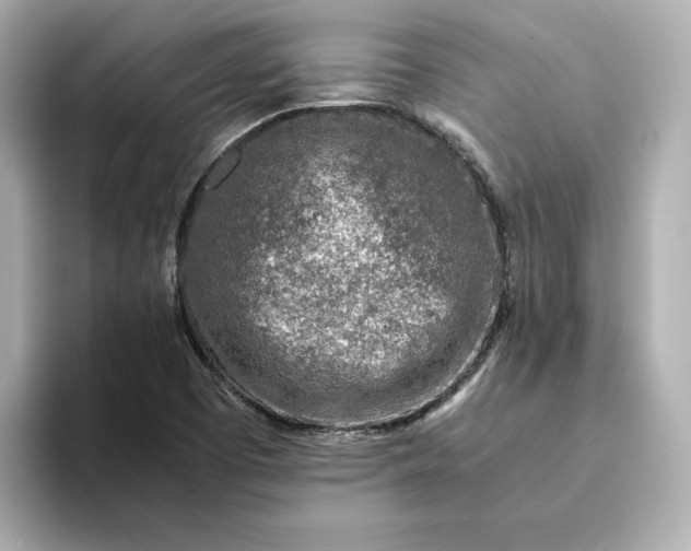 X0000093431457200710261009