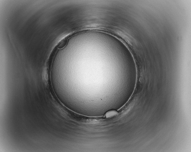 X0000093431458200710261009