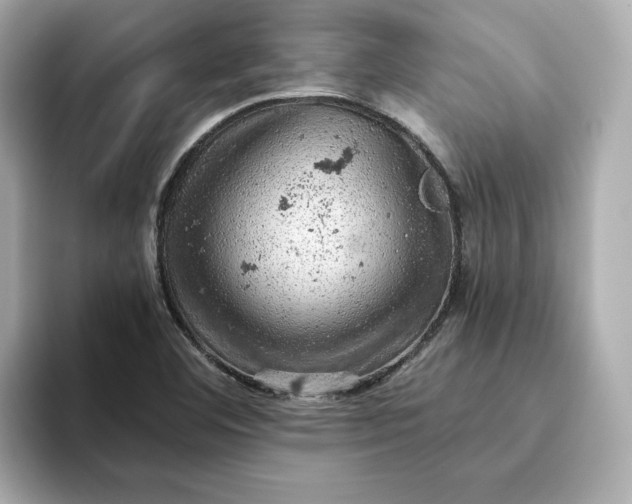 X0000093431460200710261009