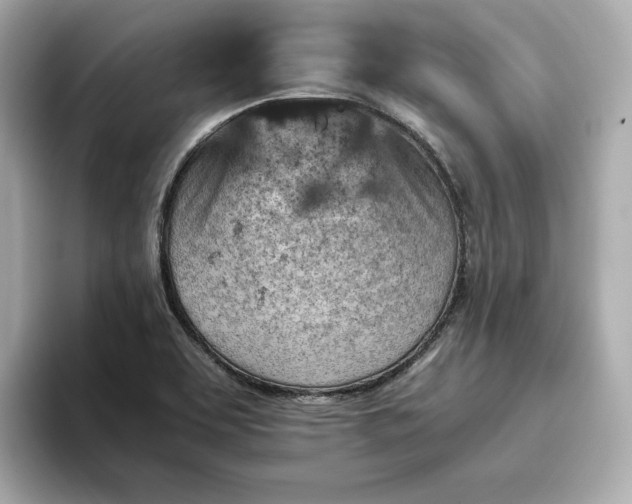 X0000093431463200710261009