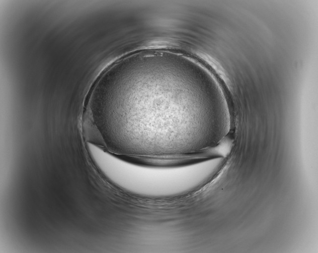 X0000093431465200710261009