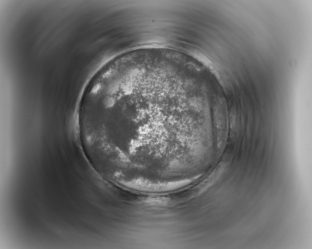 X0000093431466200710261009