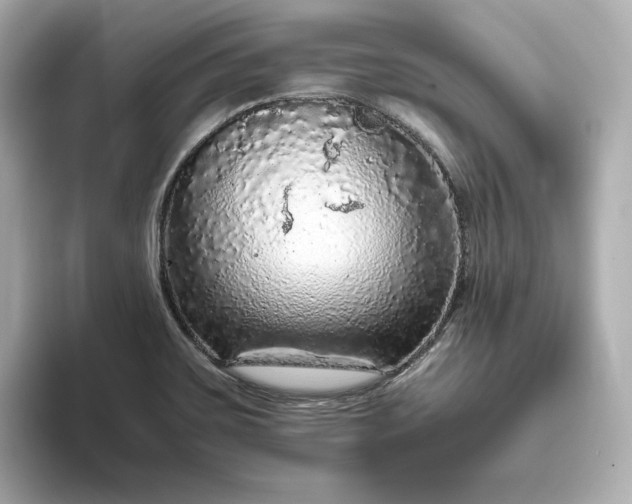 X0000093431467200710261009