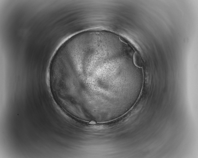 X0000093431468200710261009