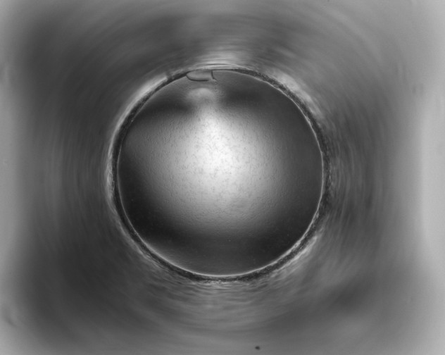 X0000093431469200710261009