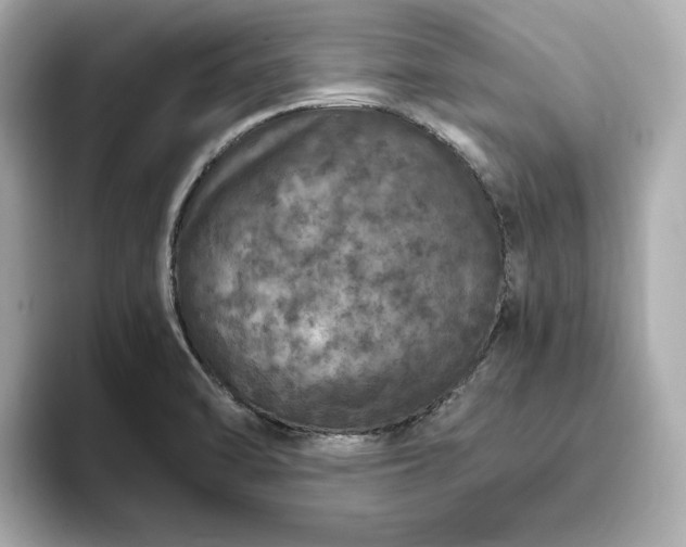 X0000093431470200710261009