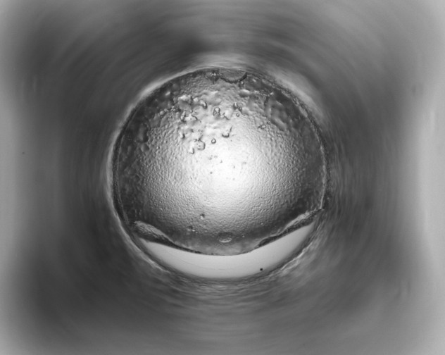 X0000093431471200710261009