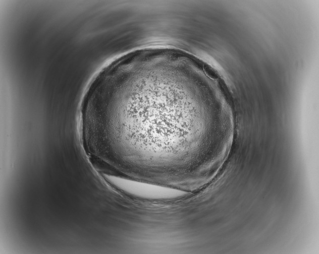 X0000093431472200710261009