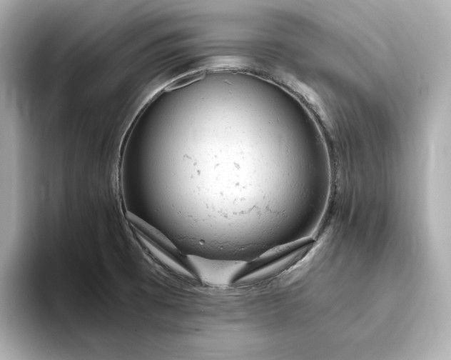 X0000093431473200710261009