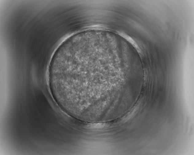 X0000093431474200710261009