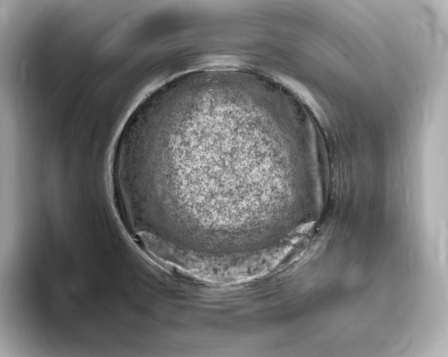 X0000093431475200710261009