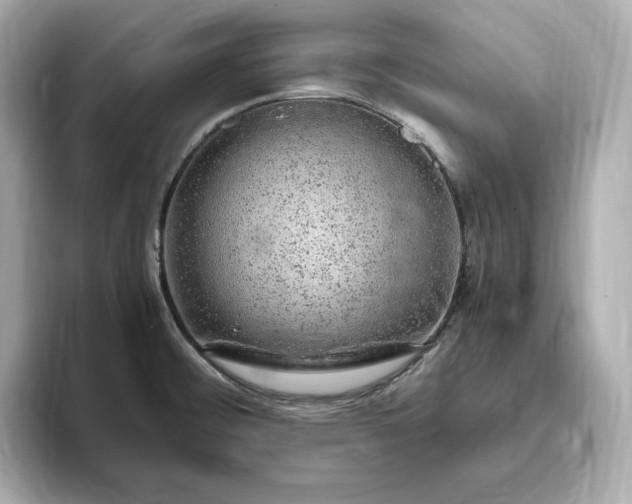 X0000093431476200710261009