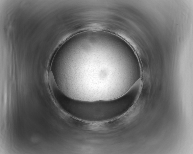 X0000093431477200710261009