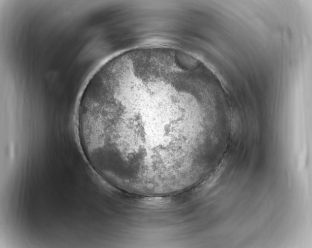 X0000093431478200710261009