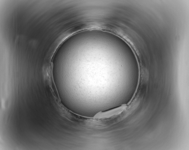 X0000093431481200710261009