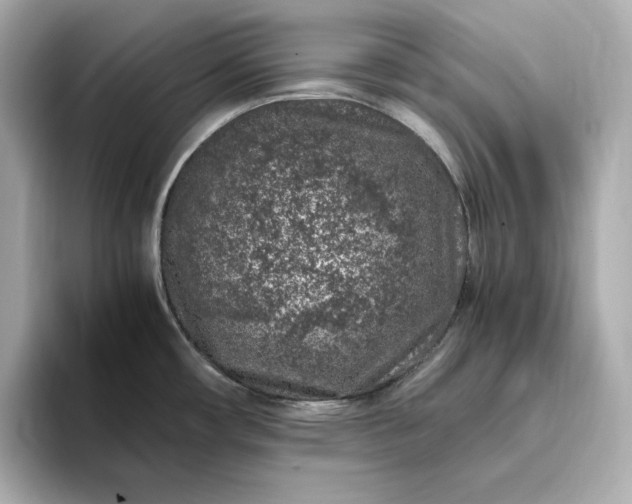 X0000093431482200710261009