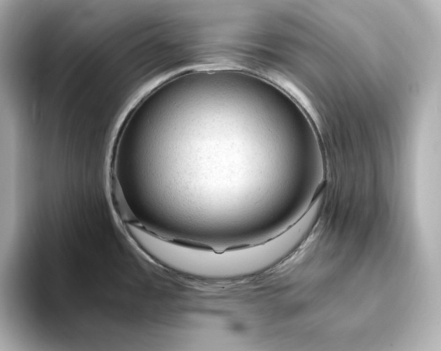 X0000093431485200710261009