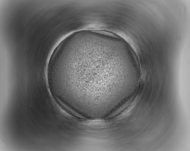 X0000093431486200710261009