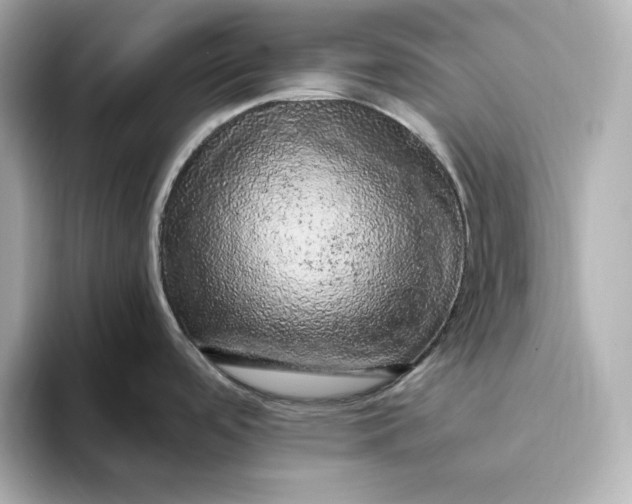 X0000093431488200710261009