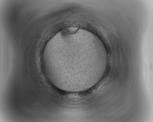 X0000093431489200710261008