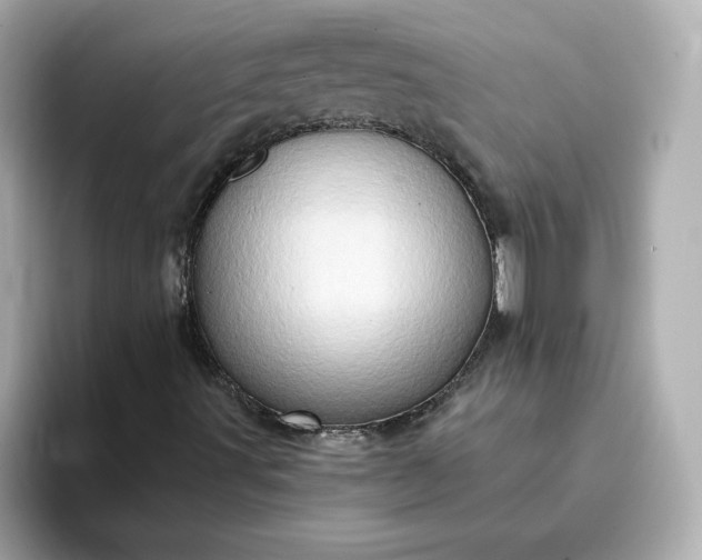 X0000093431491200710261008