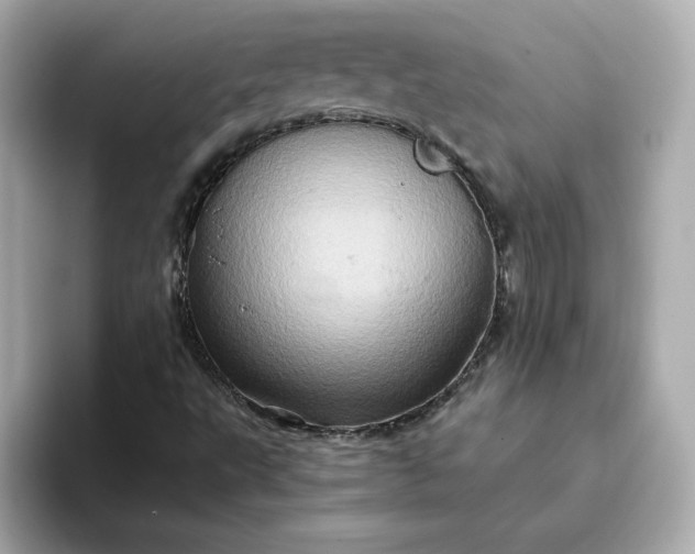 X0000093431495200710261008