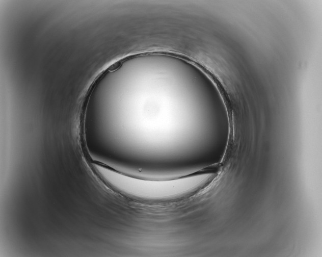 X0000093431500200710261008
