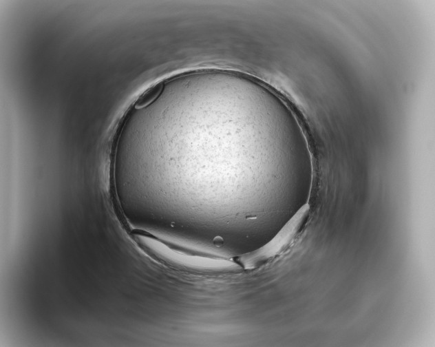 X0000093431504200710261009