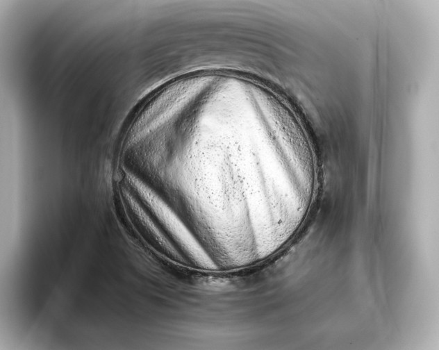 X0000093431505200710261009