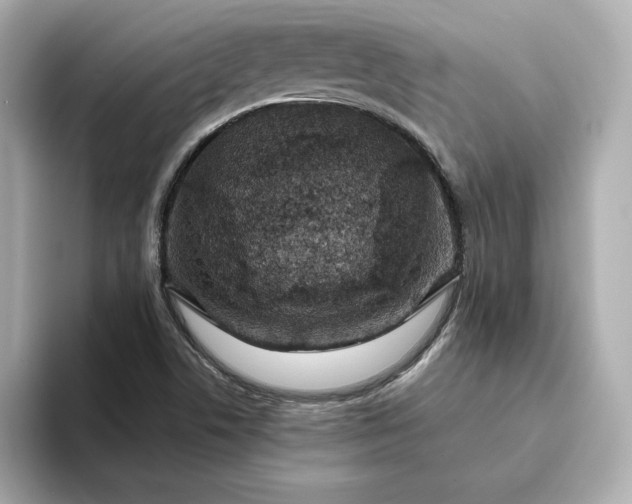 X0000093431506200710261009