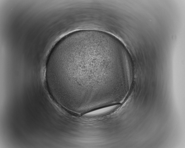 X0000093431507200710261009