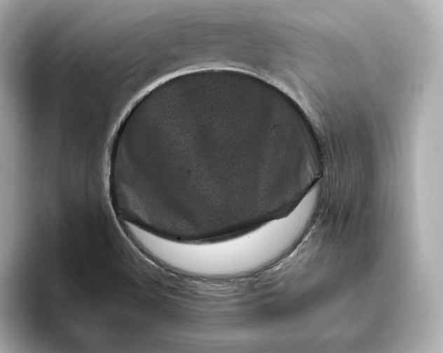 X0000093431508200710261009