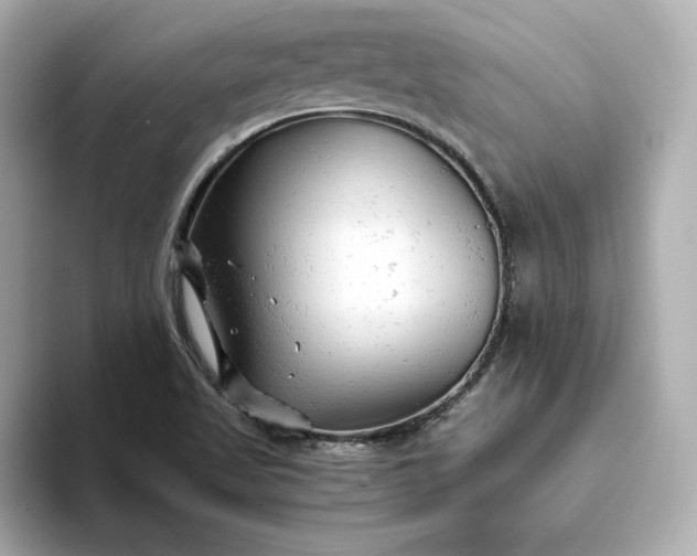 X0000093431509200710261009