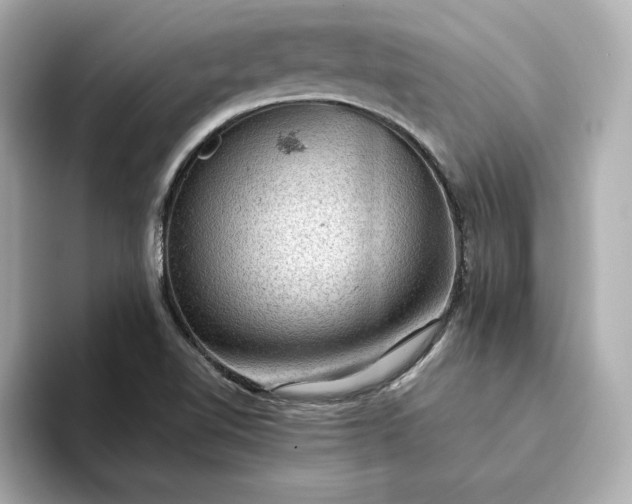 X0000093431510200710261009