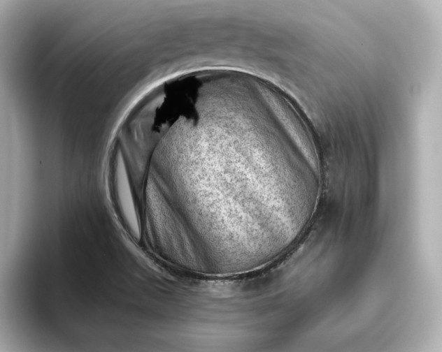 X0000093431511200710261009