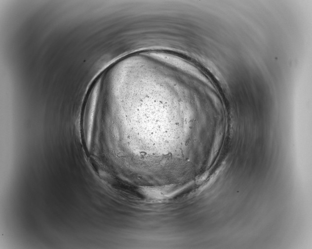 X0000093431513200710261009