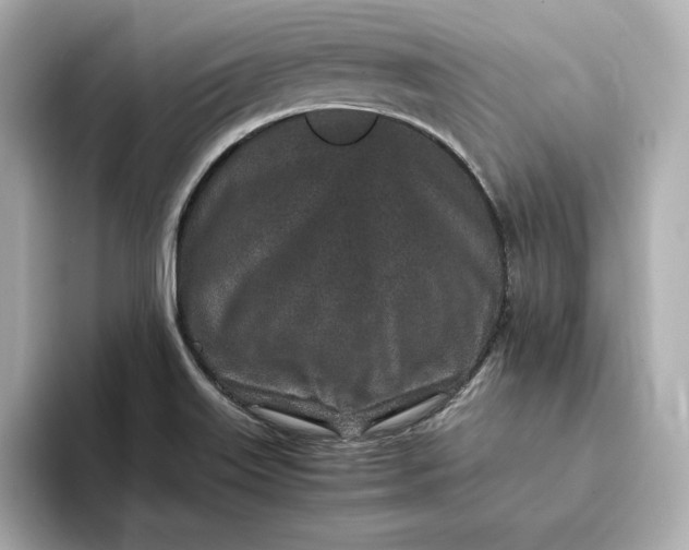 X0000093431515200710261009