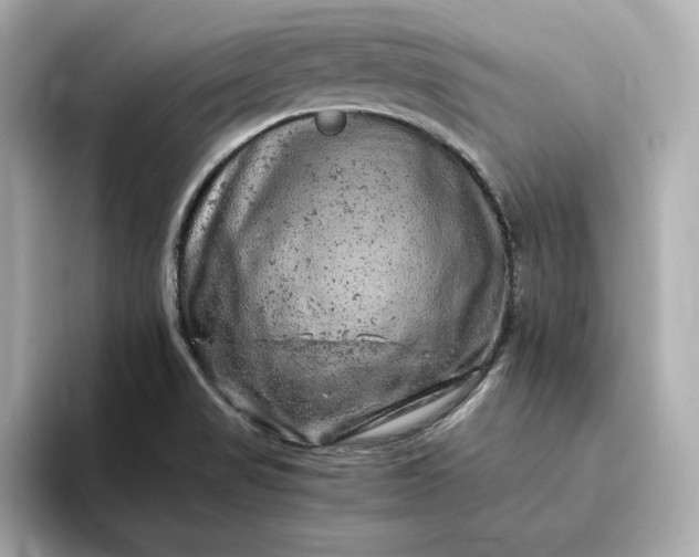 X0000093431517200710261009