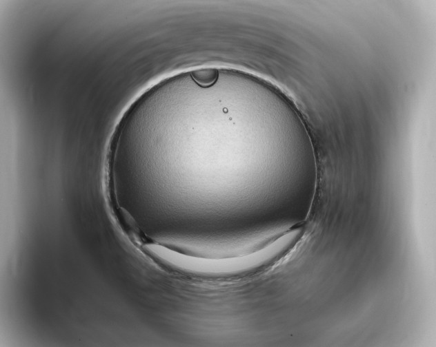 X0000093431518200710261009