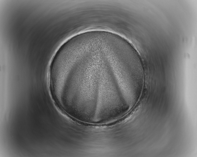 X0000093431519200710261009