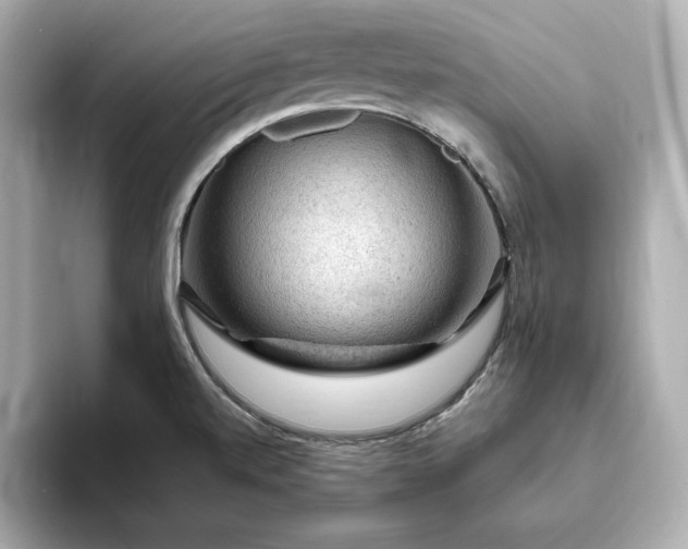 X0000093431520200710261009