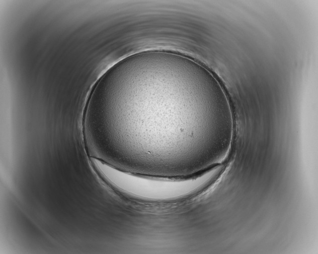 X0000093431521200710261009