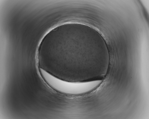 X0000093431522200710261009