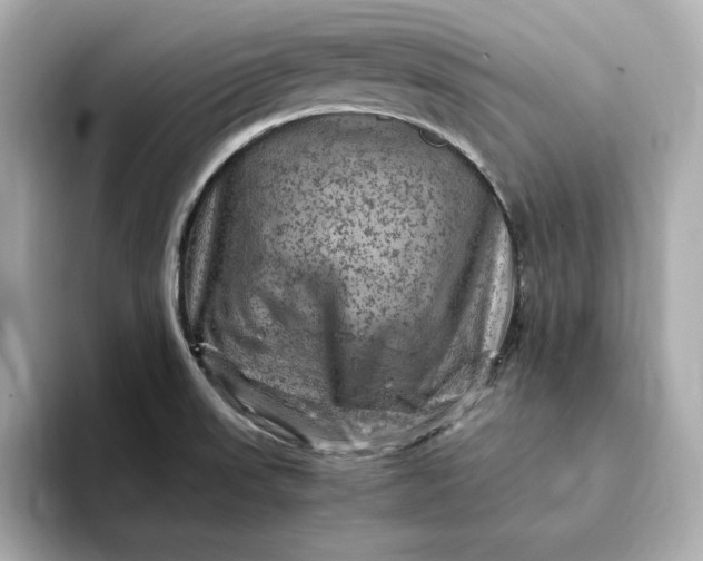 X0000093431523200710261009