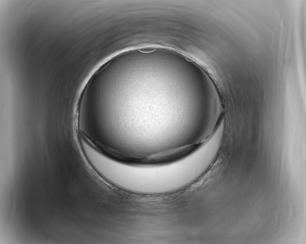 X0000093431524200710261009