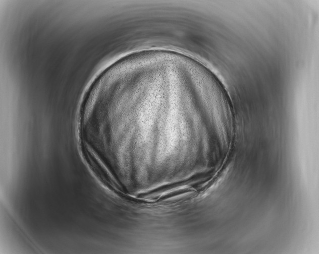 X0000093431525200710261009